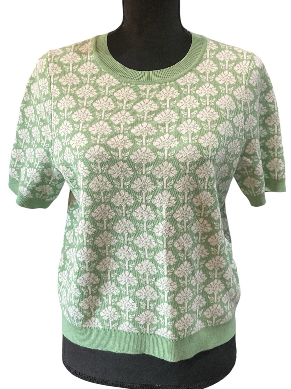 Adrianna Papell Mint Green and White Floral Short Sleeve Crewneck Sweater